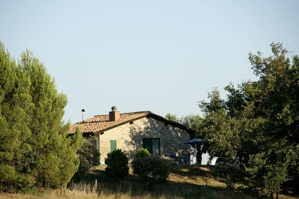 Fattoria Poggio Foco Villa Manciano Værelse billede