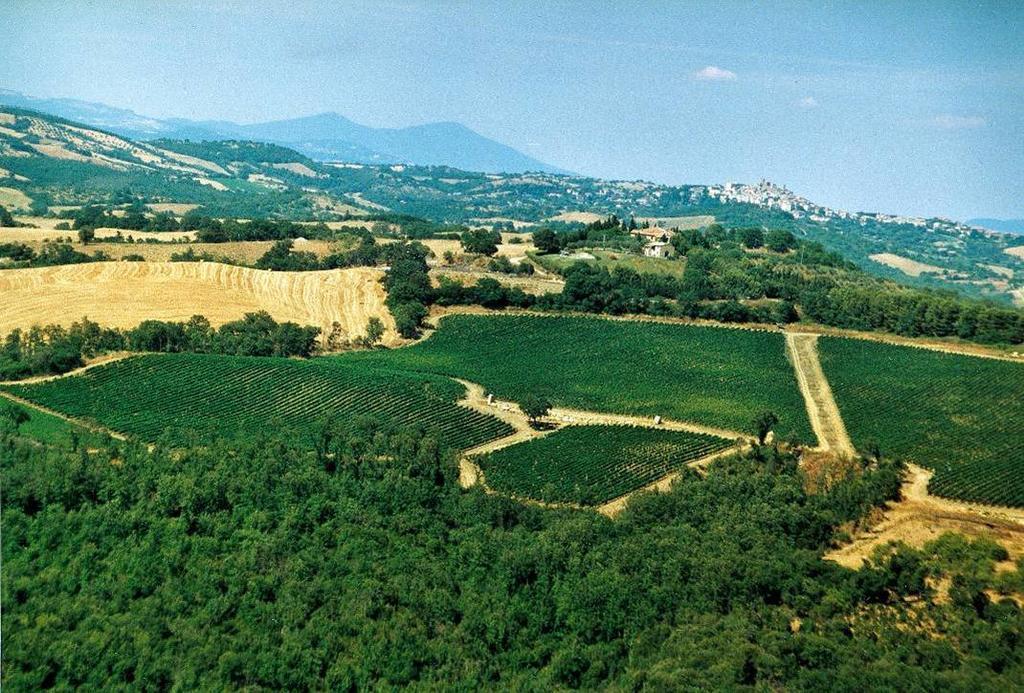Fattoria Poggio Foco Villa Manciano Eksteriør billede